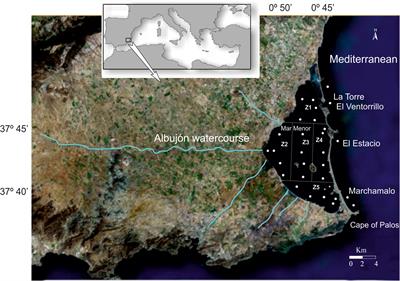 Long-Term Dynamic in Nutrients, Chlorophyll a, and Water Quality Parameters in a Coastal Lagoon During a Process of Eutrophication for Decades, a Sudden Break and a Relatively Rapid Recovery